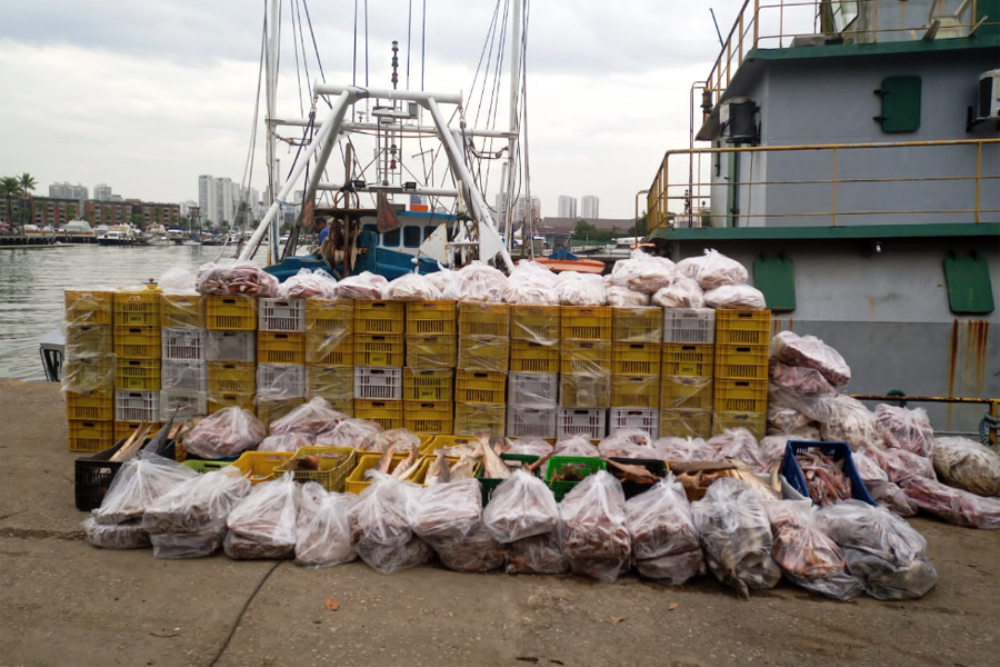 Divulgação/PM Ambiental