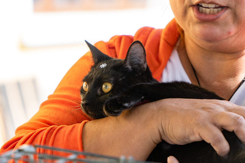 Divulgação/Denise Calazans/PMB