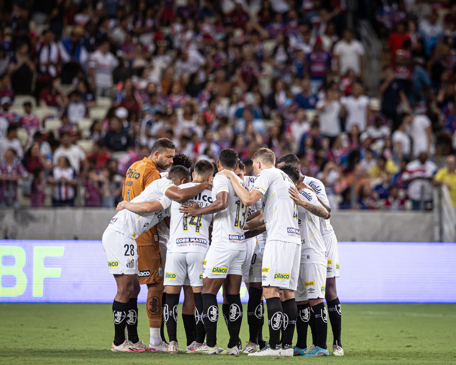 Divulgação/Santos FC