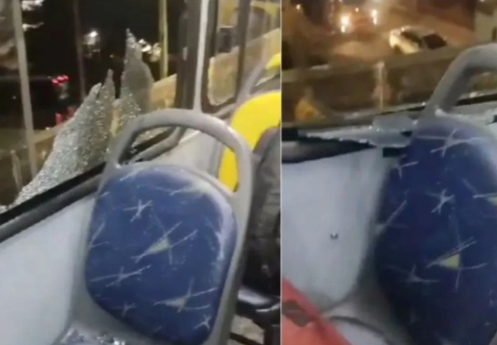 Reprodução/Viver em Santos