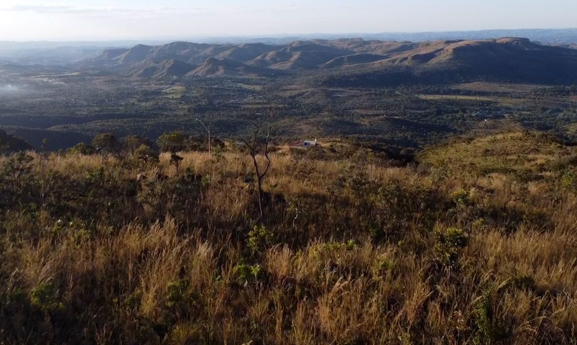 Desmatamento no cerrado desacelera, e governo alerta para seca e fogo no pantanal