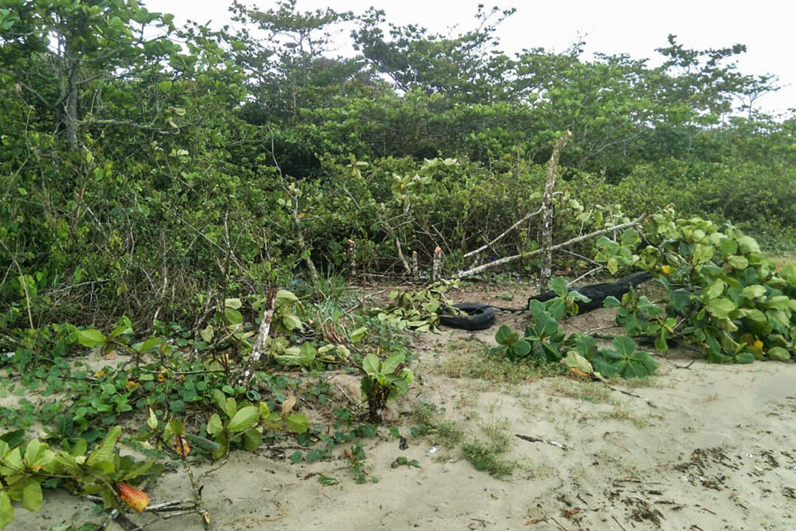 Divulgação/Prefeitura de Bertioga