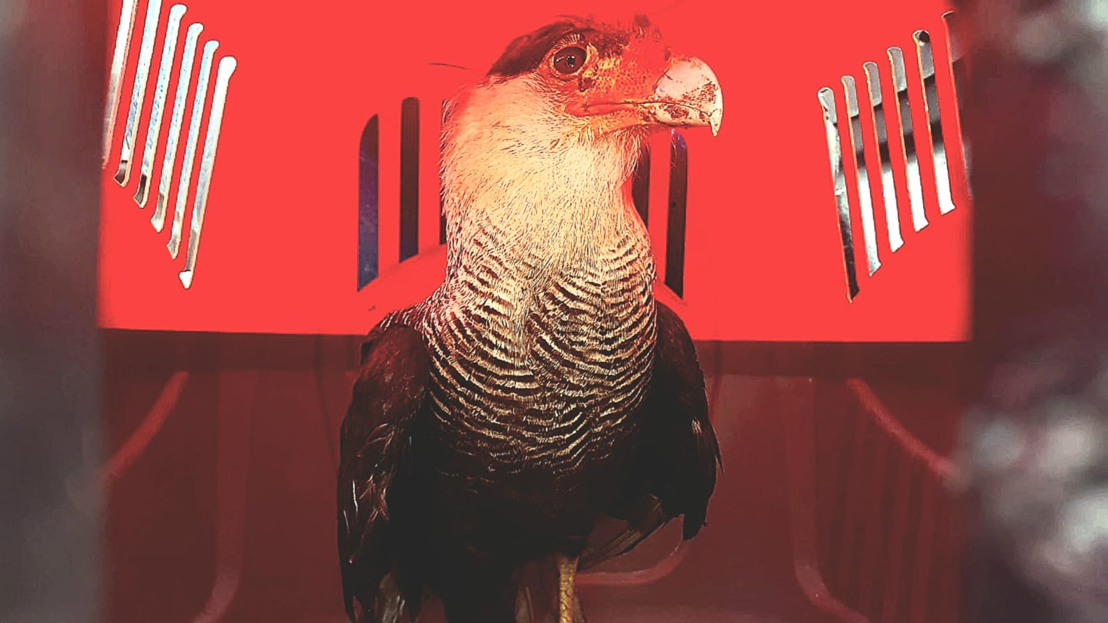 Reprodução/Divulgação/Prefeitura de Bertioga 