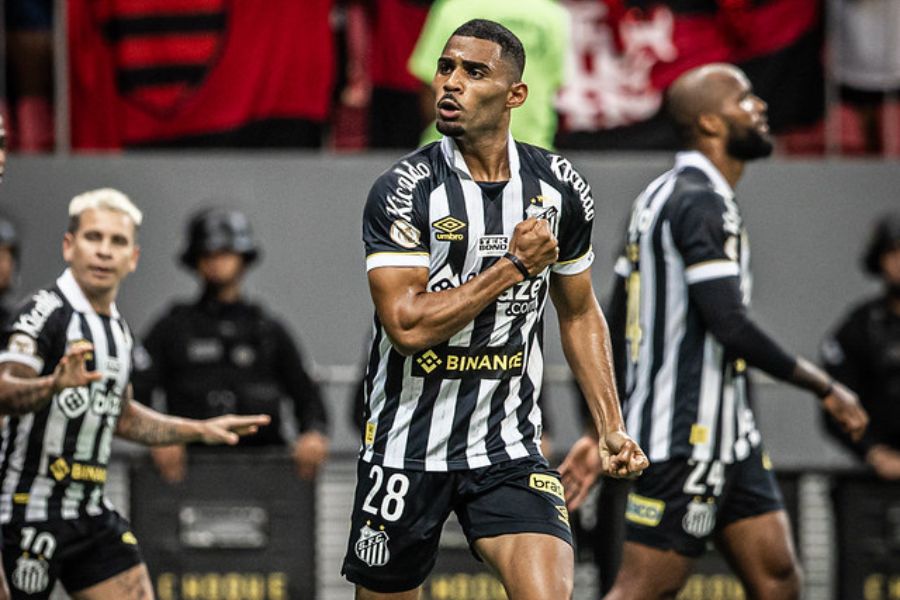 Joaquim valoriza vitória sobre o Goiás e diz que Santos fará de tudo para  se manter na Série A: Honrando a camisa - Gazeta Esportiva