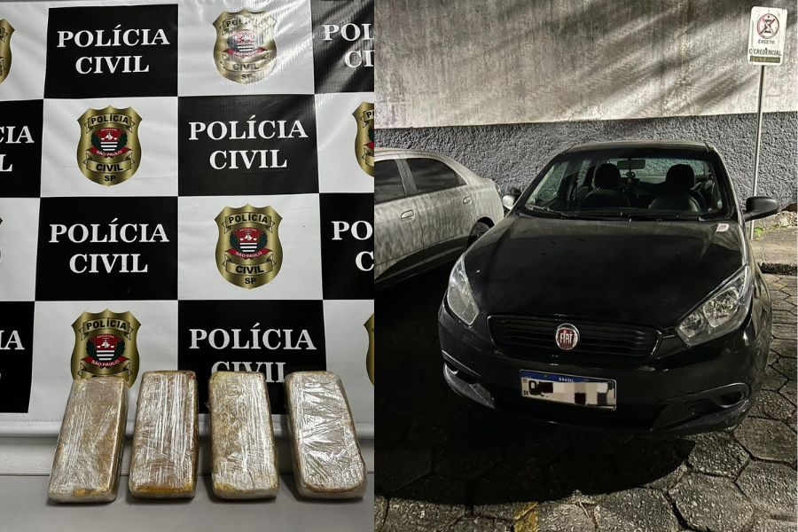 Divulgação/Polícia Civil