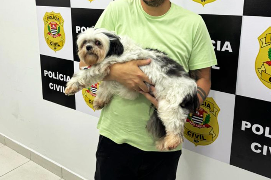 Divulgação/Polícia Civil