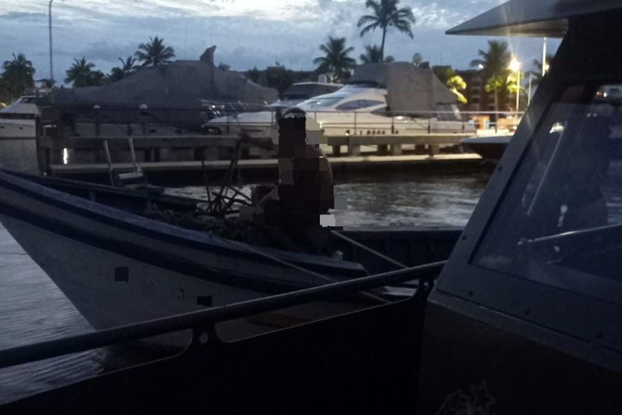 Divulgação/PM Ambiental