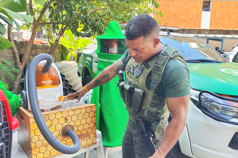 Divulgação/Prefeitura de Guarujá