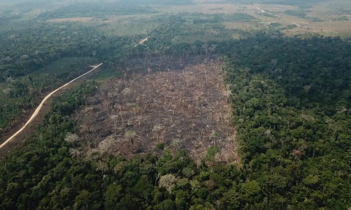 OP Verde Brasil/17