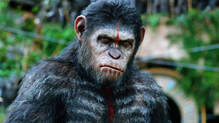 Falta César para salvar 'Planeta dos Macacos: O Reinado' da mesmice