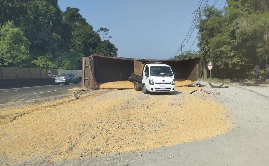 Carreta tomba e derrama soja em rodovia na altura de Santos