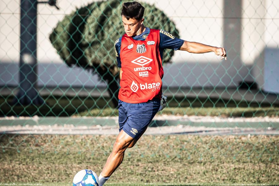 Raul Baretta/Santos FC