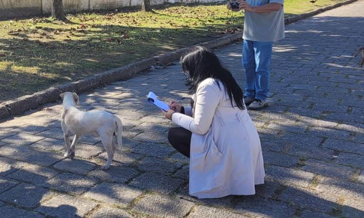Projeto Petmaps mapeia animais de rua pelos bairros de Itanhaém