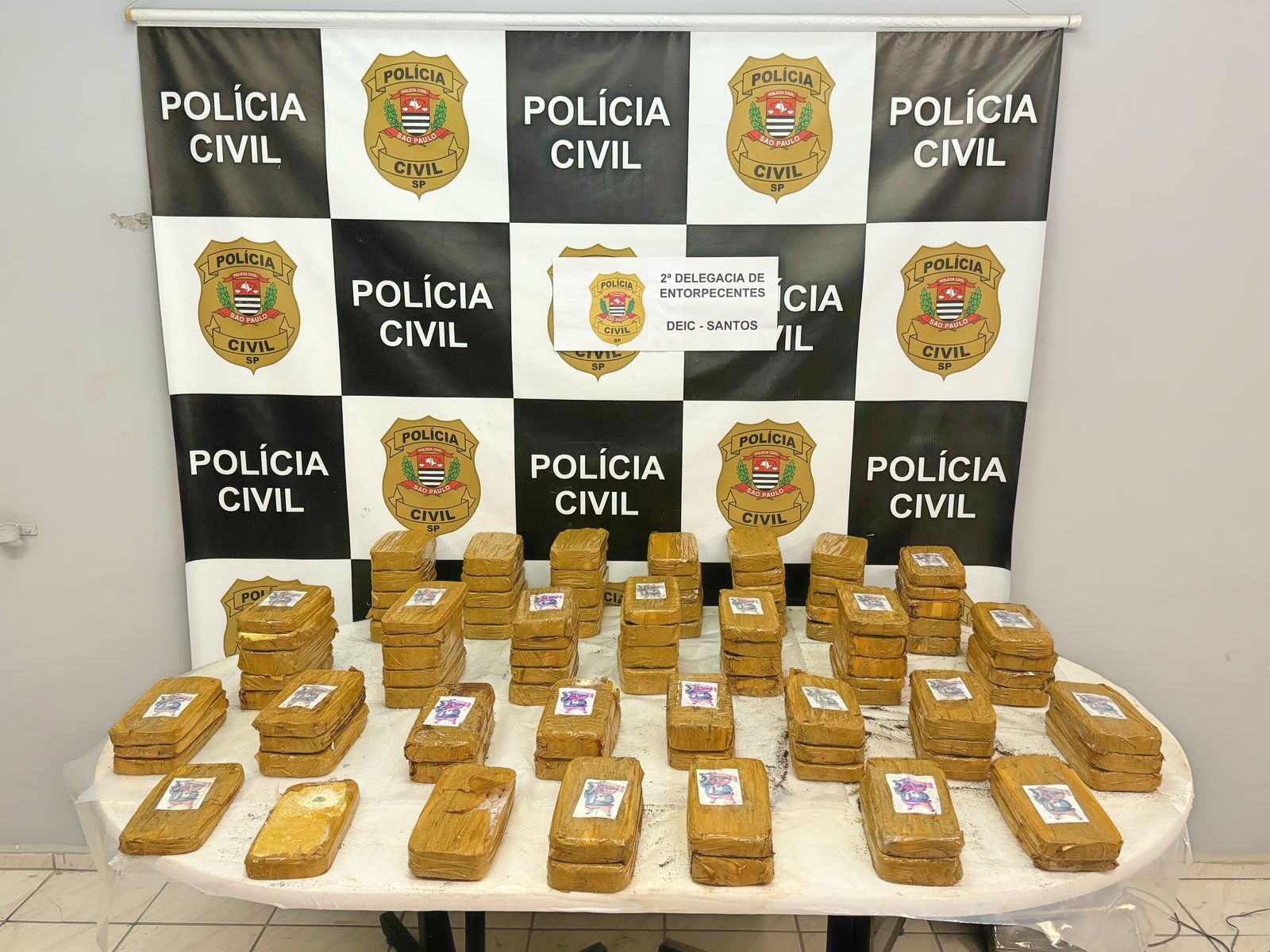 Polícia Civil/Divulgação 