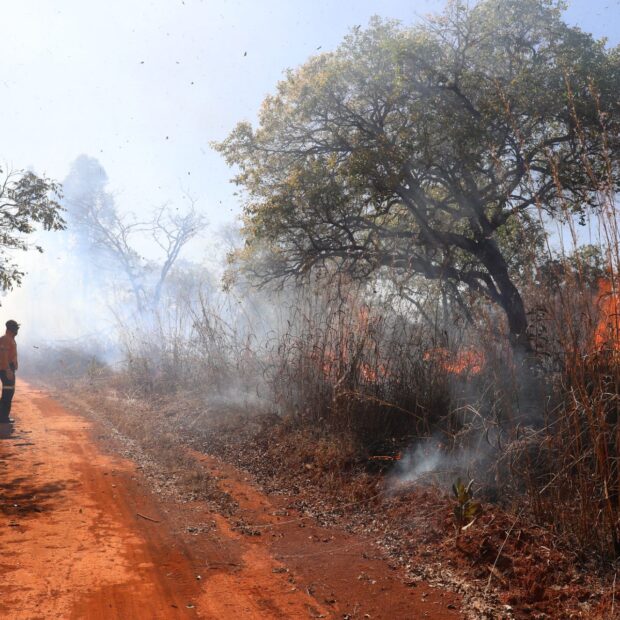 São Paulo tem um foco de incêndio no interior nesta sexta (20)