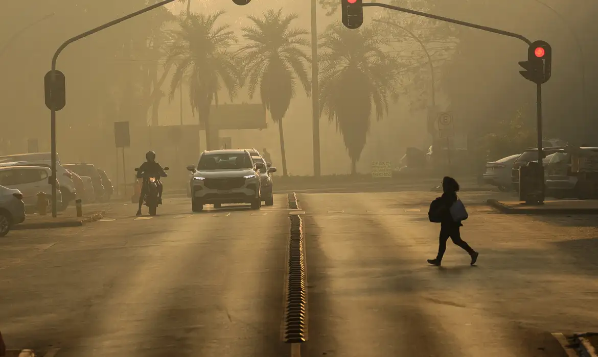 Incêndio no Parque de Brasília entra no 3º dia; fumaça se espalha