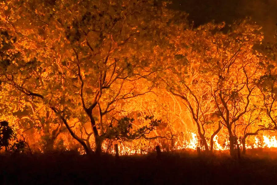 Incêndios podem ter afetado mais de 11 milhões de pessoas no Brasil