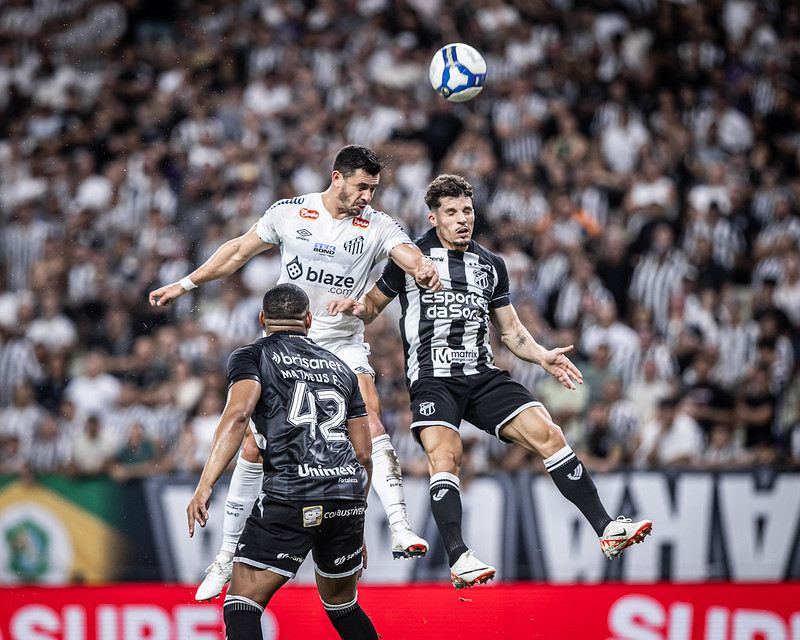 Raul Baretta/Santos FC