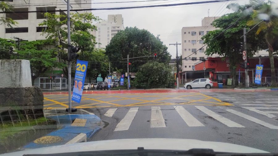 Queda de árvore interdita temporariamente avenida no centro de Guarujá