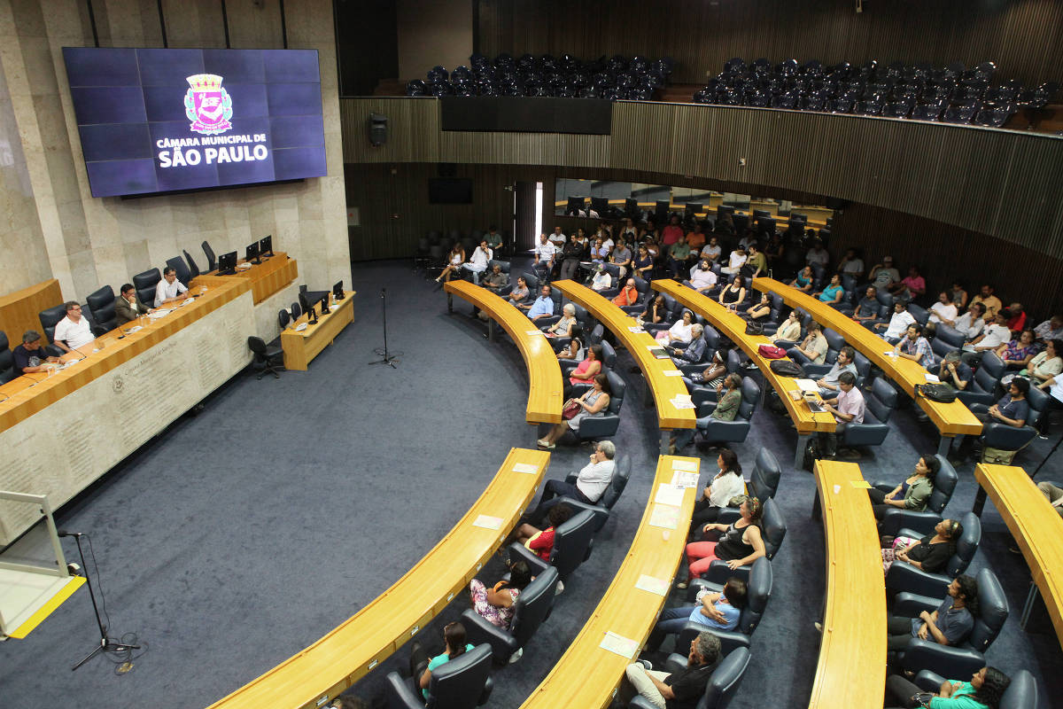 Câmara de São Paulo terá mais mulheres e negros em 2025