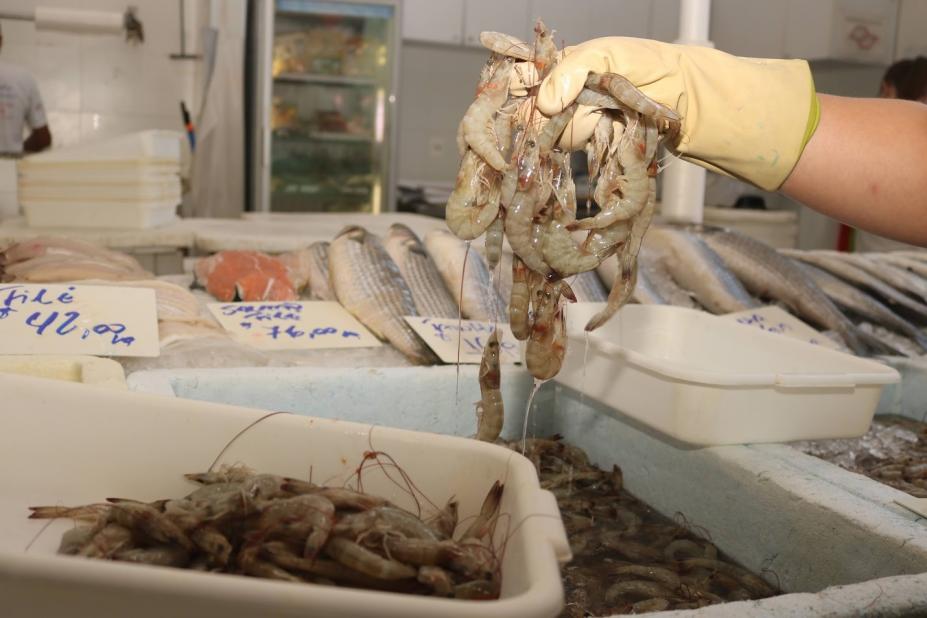 Mercado de Peixes de Santos tem festival com camarão cinza a partir de R$ 29,99