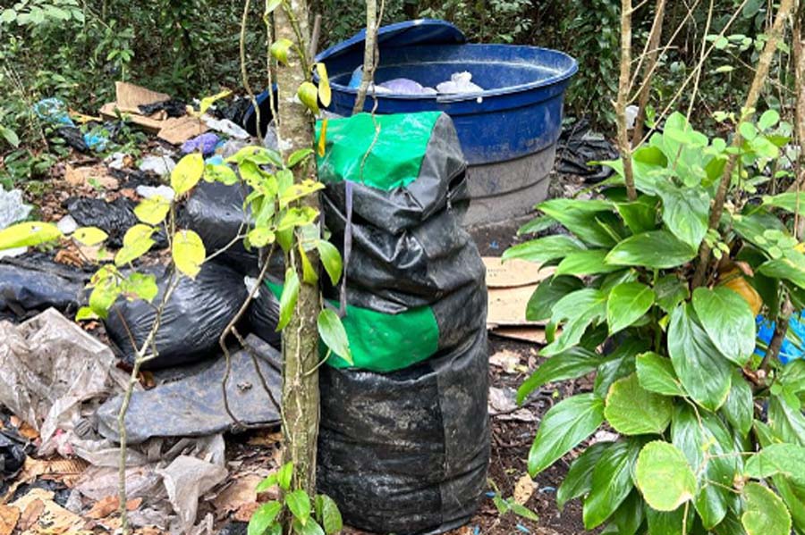 Polícia Civil apreende drogas escondidas em caixa d’água em área de mangue em Cubatão