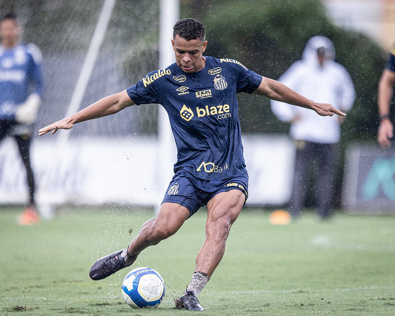 Raul Baretta/Santos FC