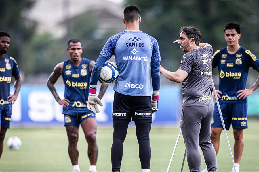 Com acesso e título garantidos, Santos faz despedida da Série B; Sport joga 'decisão'