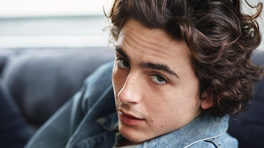 Timothée Chalamet diz que perdeu papéis em filmes por causa de corpo