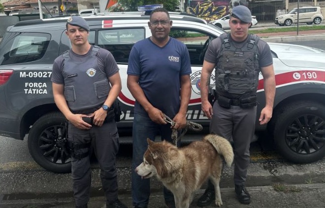 Policiais salvam husky de atropelamento e o devolvem ao dono em Santos