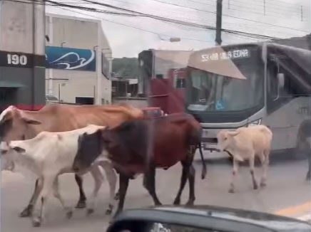 Reprodução/Guarujá Mil Grau
