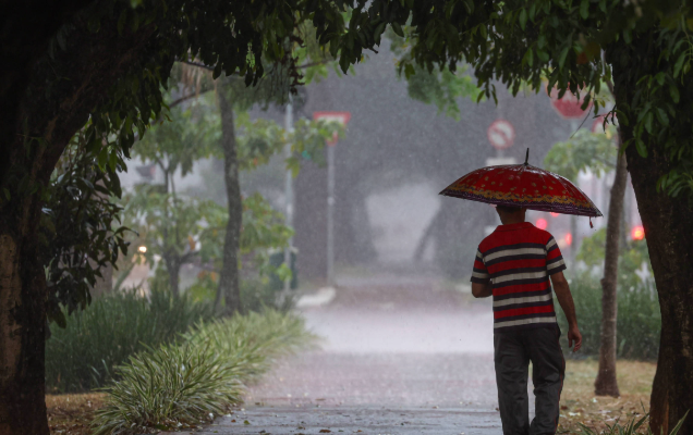 Semana em SP deve ter pancadas de chuva e oscilação na temperatura