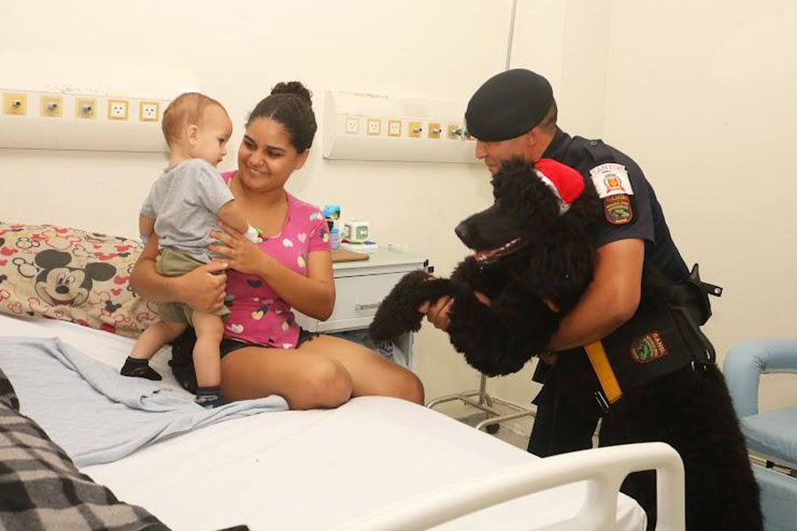 Cães ‘Noel’ da Guarda Municipal levam alegria a pacientes em hospital de Santos