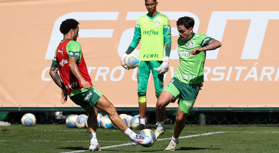 Cesar Greco/Palmeiras