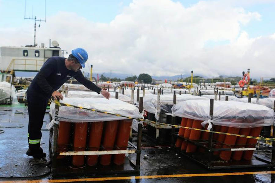 Com 14 minutos de duração, Santos terá a maior queima de fogos do Ano Novo no Brasil