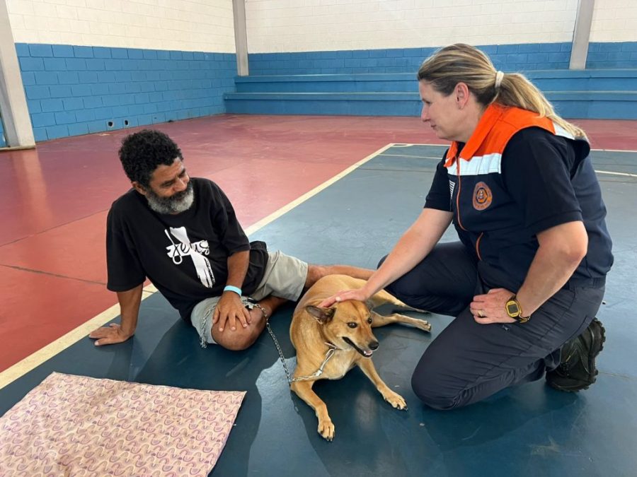 Equipes de resgate em Peruíbe acolhem animais atingidos pela chuva