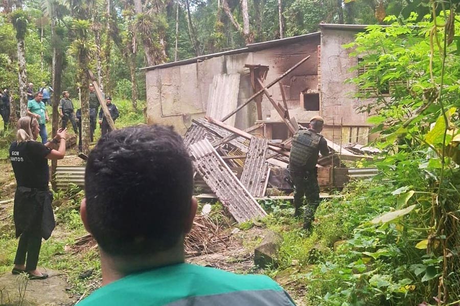 Força-tarefa remove construções irregulares em área de preservação ambiental em Santos