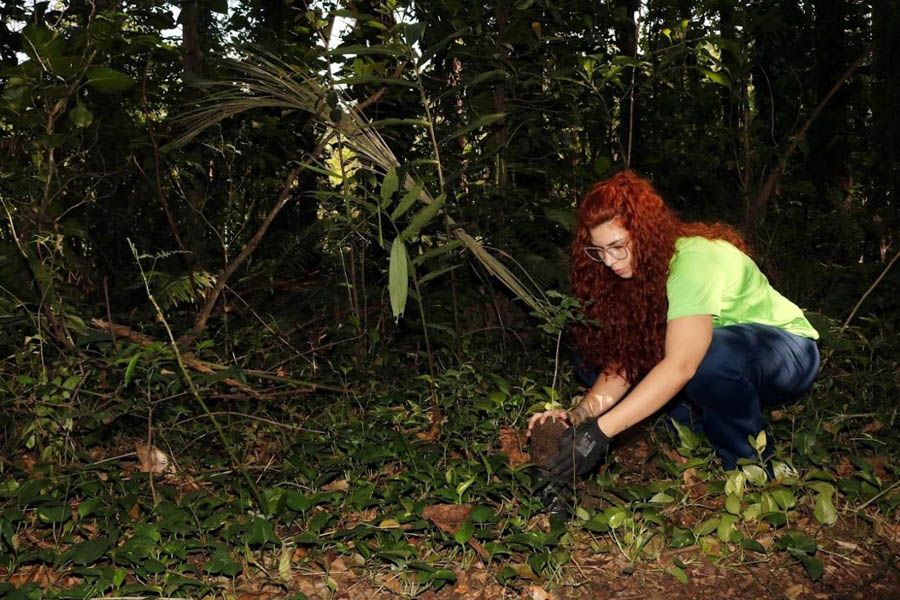 Santos realiza oficinas preparatórias para Conferência do Meio Ambiente