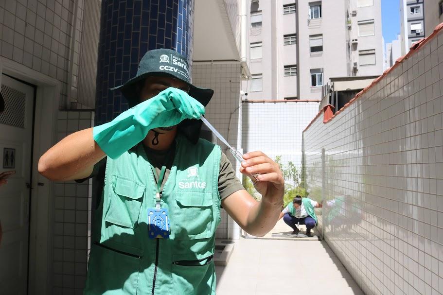 Santos inicia coleta periódica de amostras de larvas para traçar medidas de combate ao Aedes