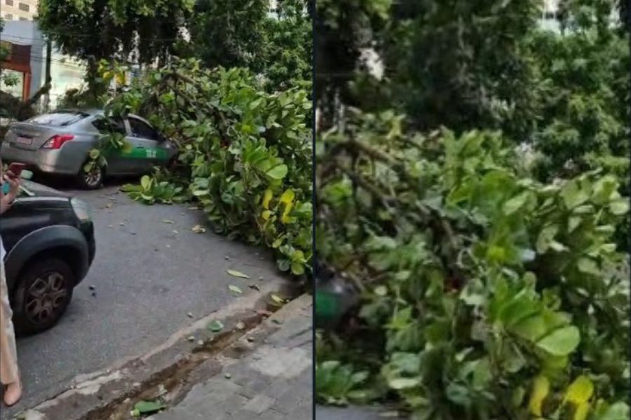 Reprodução/Santa Portal