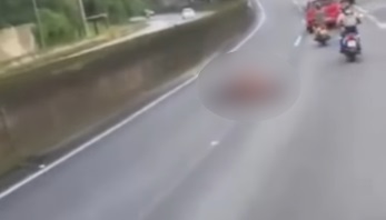 Cavalo é atropelado por carreta em rodovia de Cubatão