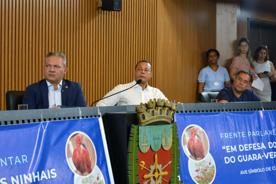 Deputado lança Frente Parlamentar para debater impactos do projeto do Pátio de Caminhões na Ilha do Tatu