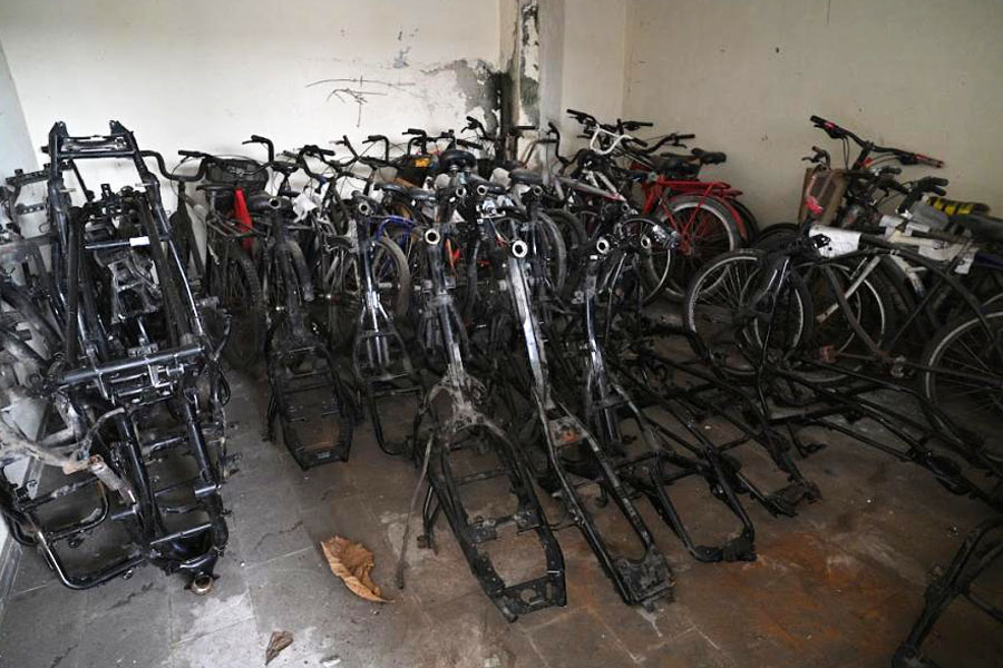 Divulgação/Prefeitura de Santos