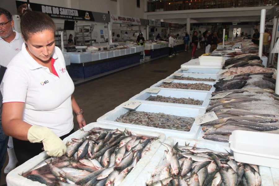 Mercado de Peixe de Santos promove Festival da Sardinha por R$ 11,99