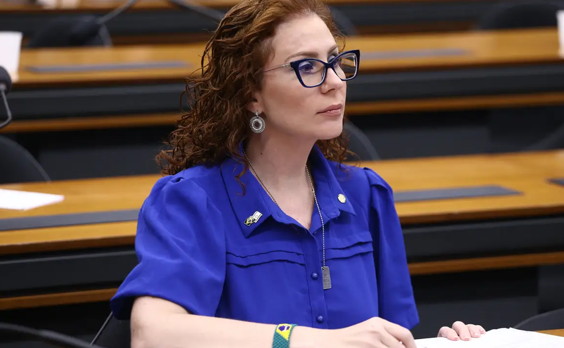 Divulgação/Vinicius Loures/Câmara dos deputadps