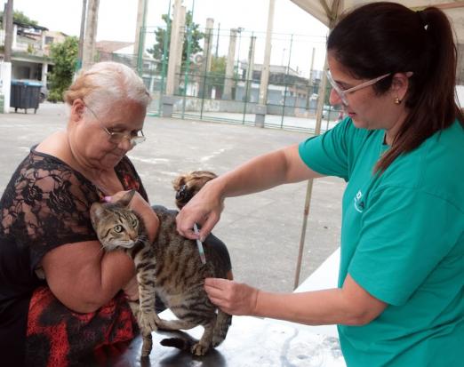 Francisco Arrais/PMS