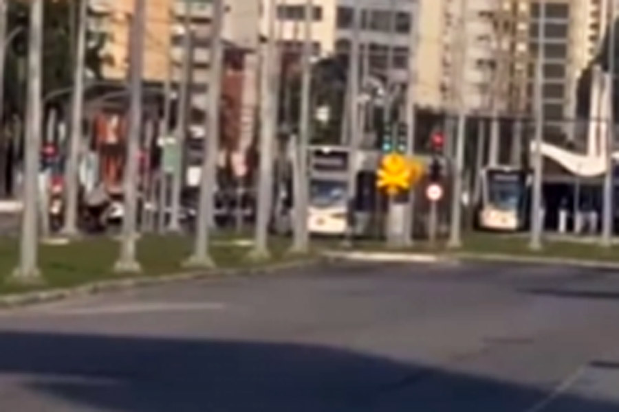 Reprodução/Viver em Santos e Região