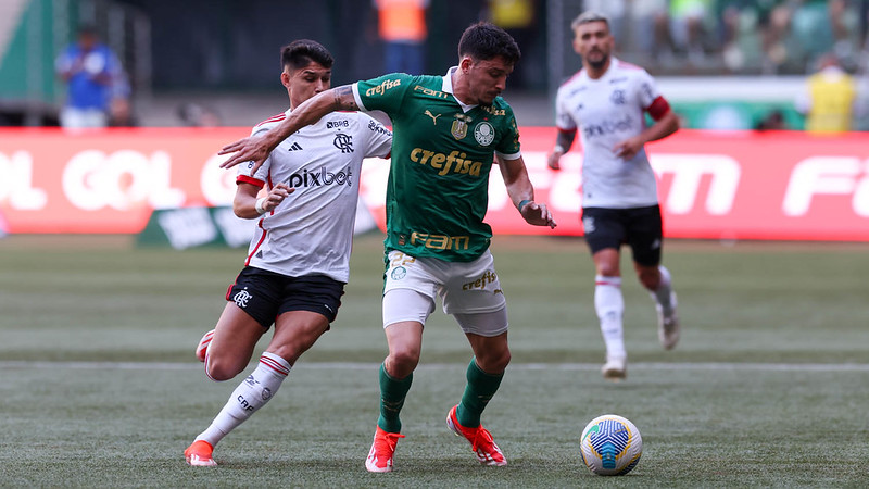 Cesar Greco/Palmeiras