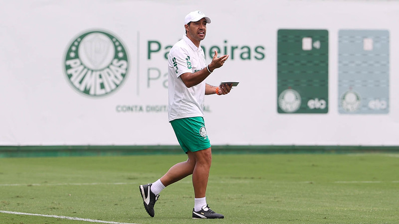 Cesar Greco/Palmeiras