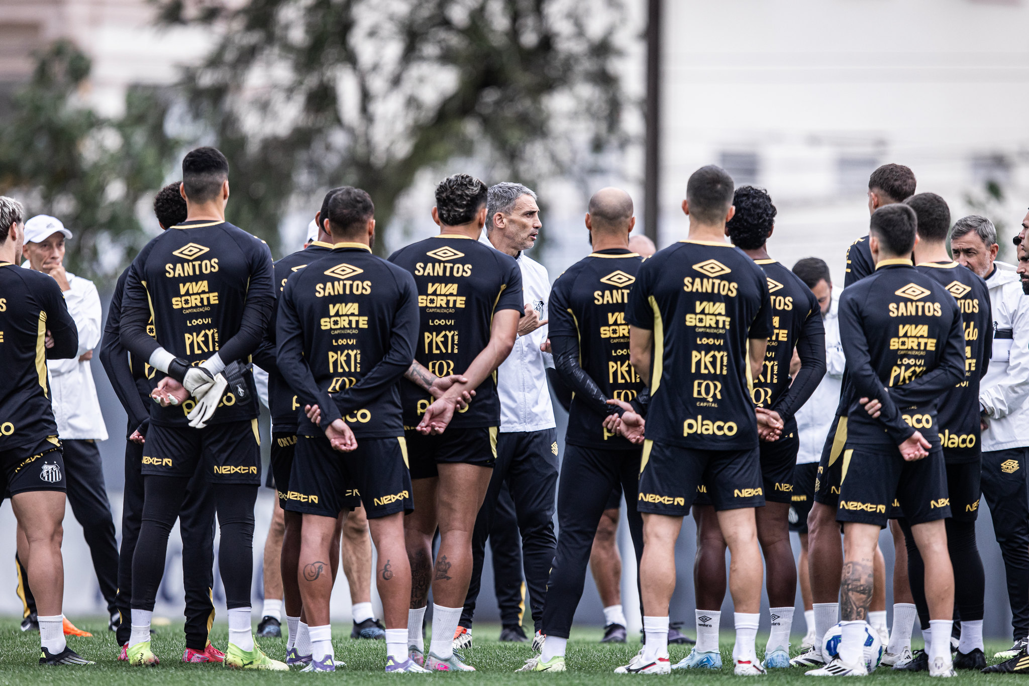 Raul Baretta/Santos FC